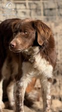 Coko